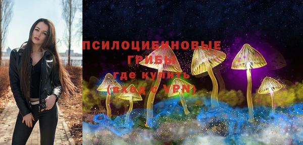 амф Алексин